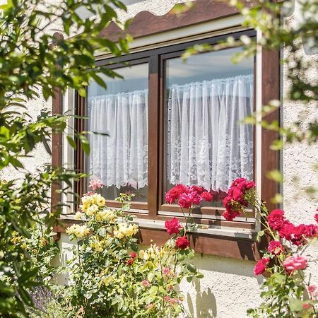 Apartmán Bett Und Fruehstueck Bei Gertrud Hergensweiler Exteriér fotografie