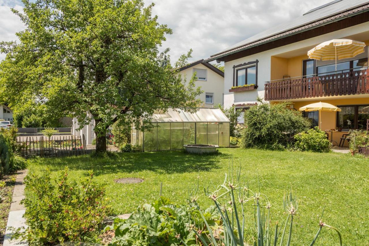 Apartmán Bett Und Fruehstueck Bei Gertrud Hergensweiler Exteriér fotografie